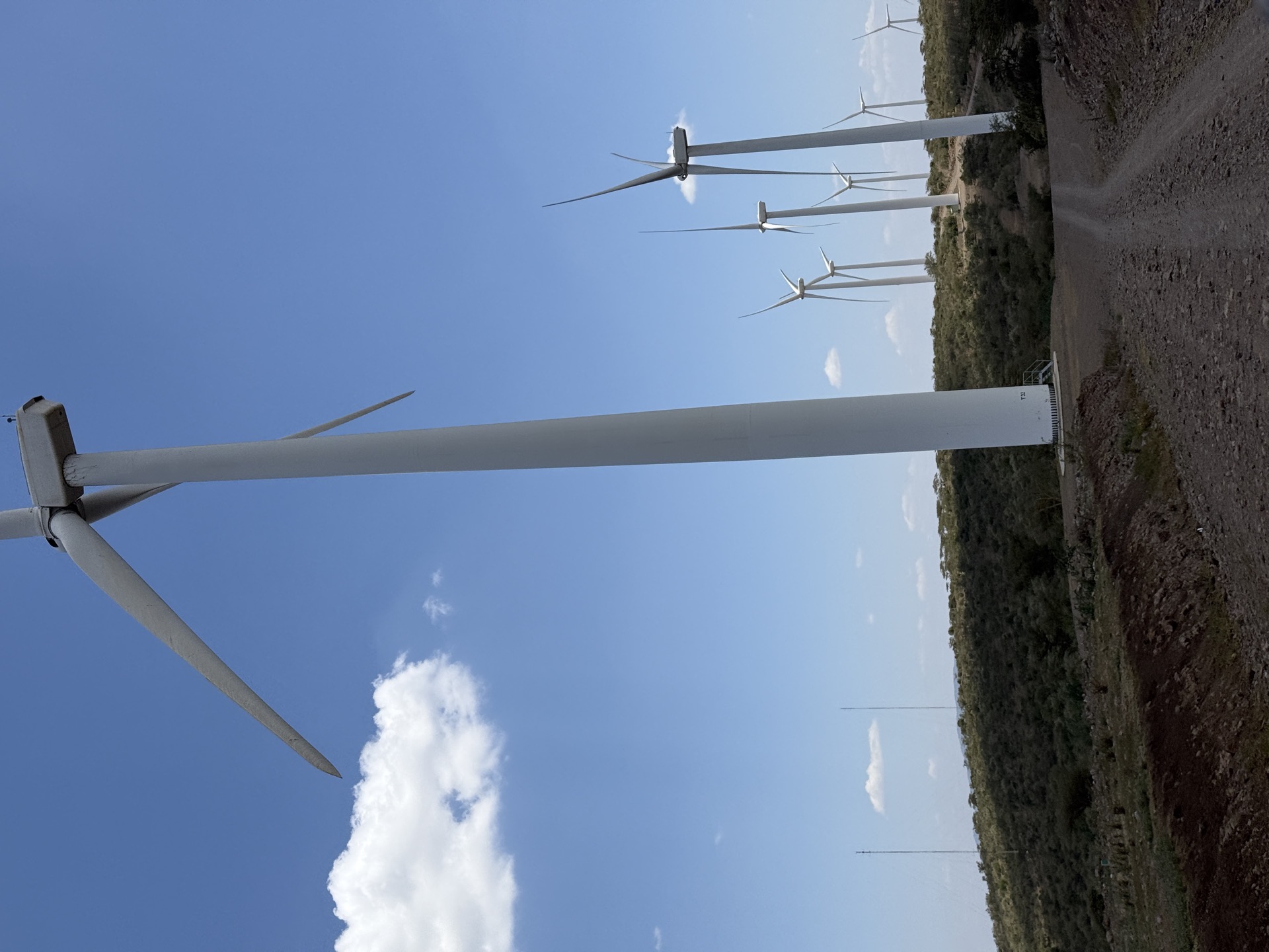 Wind turbine blades being transported